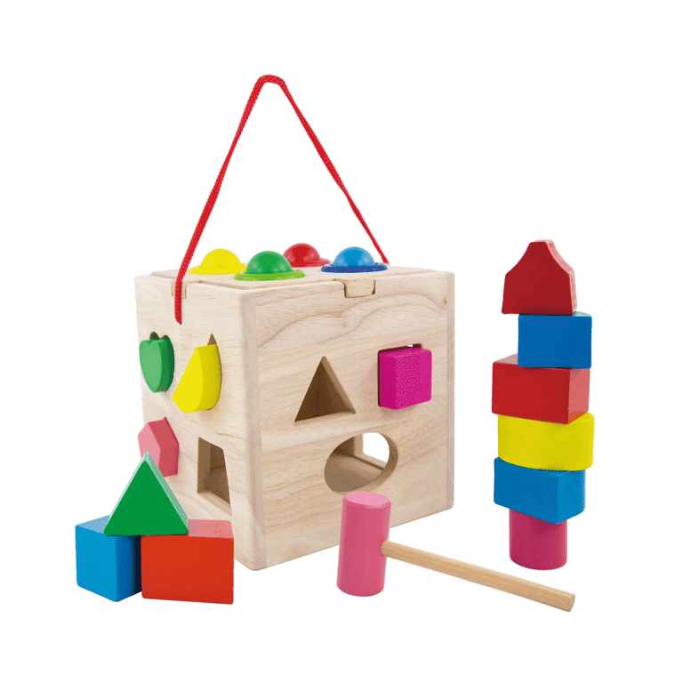 Montessori Evmark Toys Houten Activiteiten Kubus Vormen en Blokken