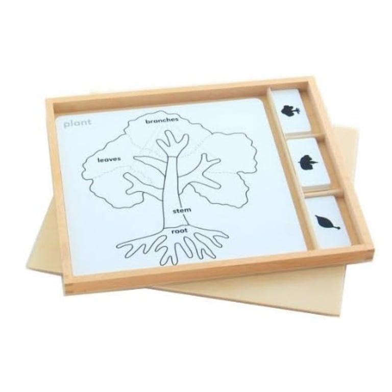 Montessori Elite Montessori Plantkunde Puzzel Activiteiten Set