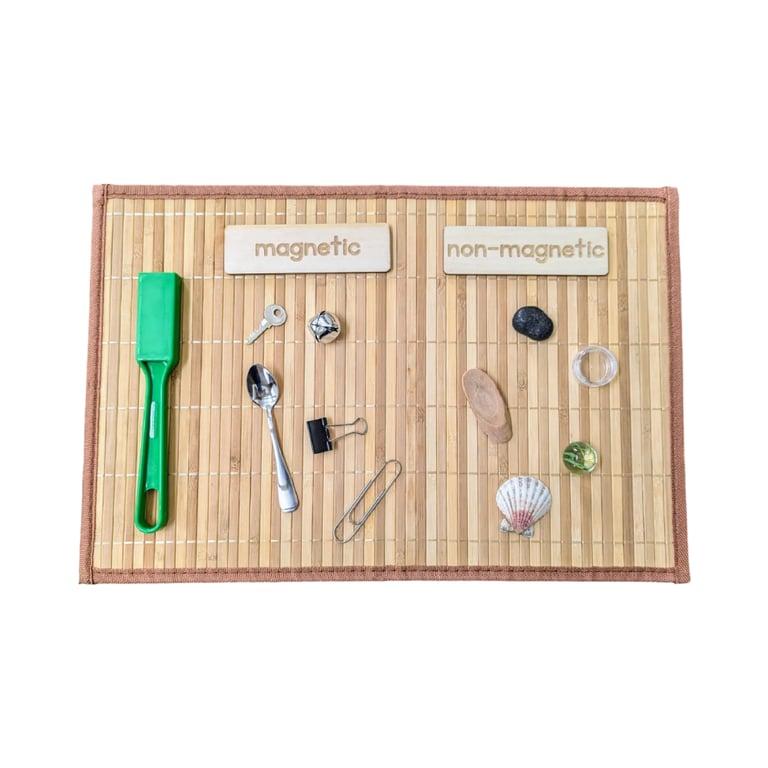 Montessori Arbor Inspirations Magnetische en Niet Magnetische Sorteerset