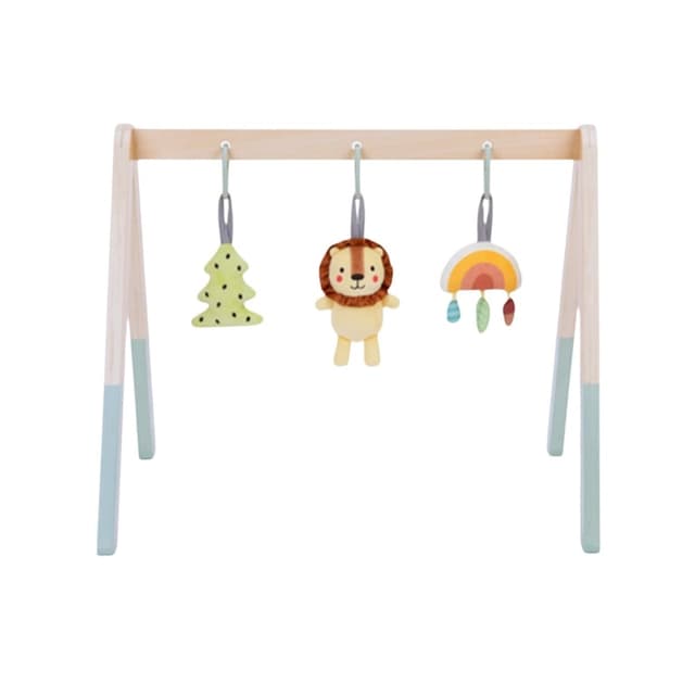 Tooky Toy Babygym