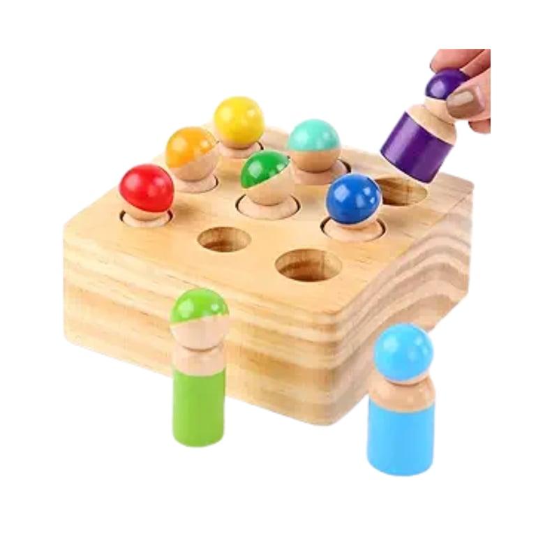 Montessori Xylolin Houten Pin Poppetjes Sorteer Speelgoed