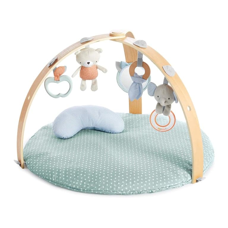 Ingenuity Cozy Spot Omkeerbaar Dekbed Activiteiten Gym & Speelmat Veelkleurig