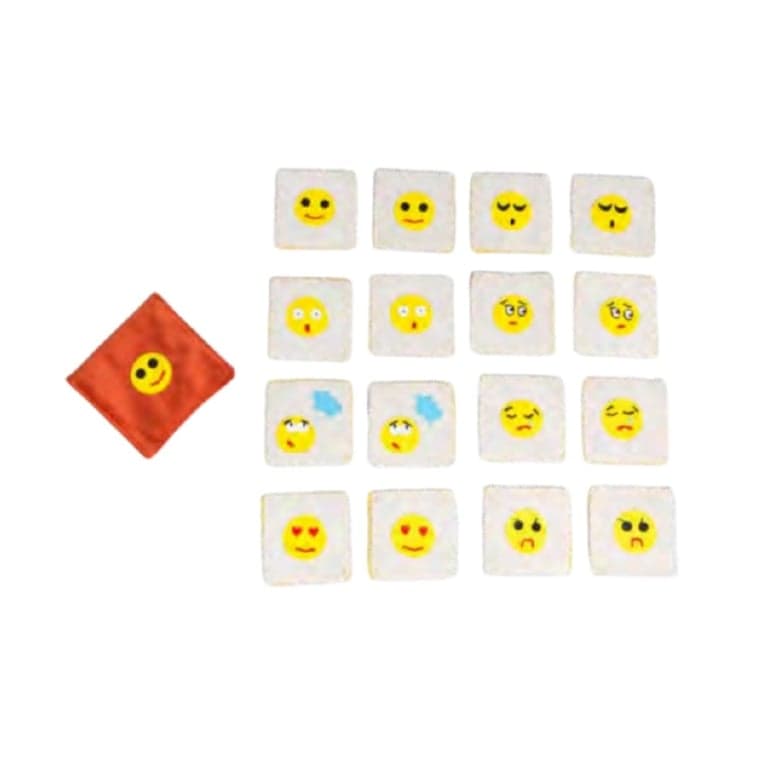 Zeki Learning Geheugenspel Emoties