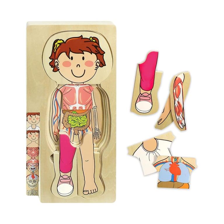 Montessori Kidzlane Lagen Puzzel Meisje Anatomie