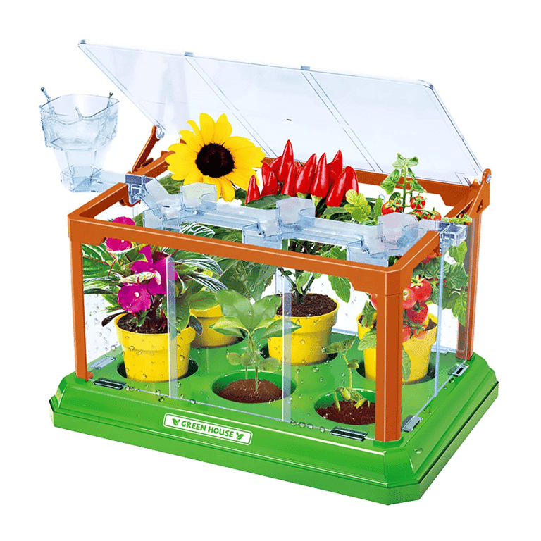 Montessori EXBEPE Broeikas Kweek Terrarium Set